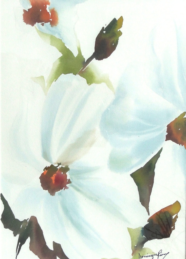 coquelicots blancs